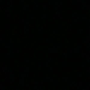 Meet your Posher, Ann